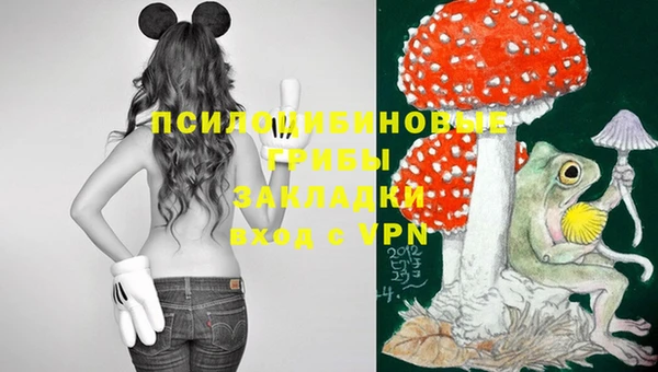 МДМА Богородицк