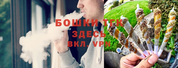 spice Бородино