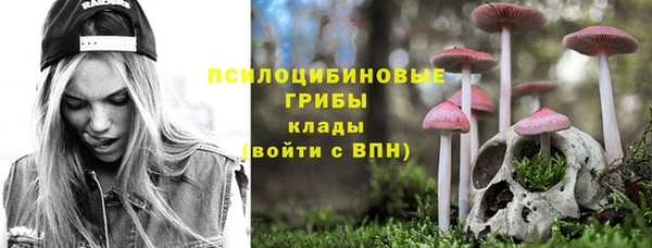 мдма Богородск