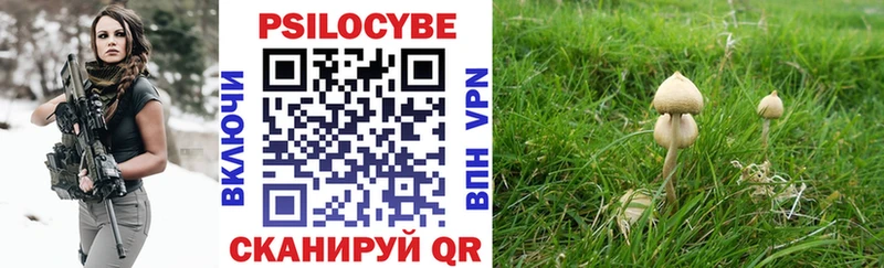 Псилоцибиновые грибы прущие грибы  Бородино 